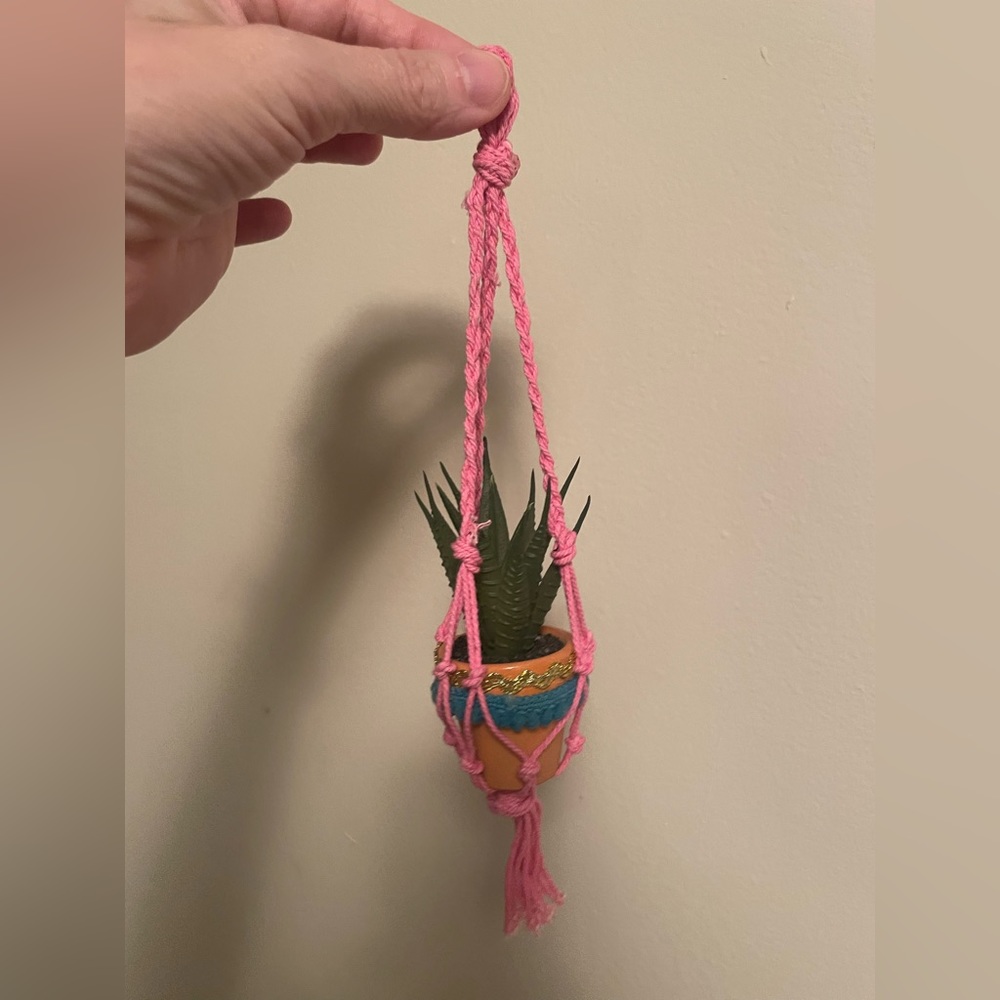 Succulent plant decor